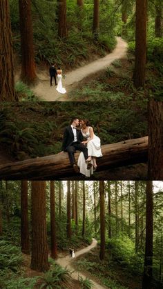 a couple is sitting on a log in the middle of a forest and they are kissing