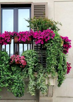 flowers are growing on the window sill in front of an apartment building's shutters