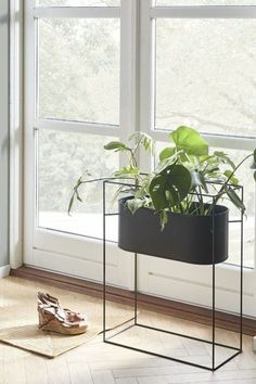 there is a planter on the floor next to a window