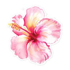 a pink flower with yellow stamens is shown in this watercolor painting style