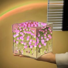 a hand holding a clear box with pink flowers in it and a rainbow in the background