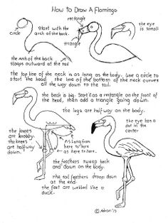 an instruction diagram for how to draw a flamingo, with instructions on how to draw the