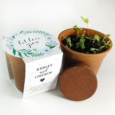 a small potted plant next to a box of linoleum and a card