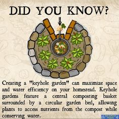 a poster with the words did you know? and an image of a garden on it