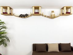 a living room filled with lots of furniture next to a wall mounted cat scratcher