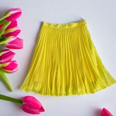 Anine Bing Lucy Skirt Pleated Chifon Yellow Skirt Color Meadowlark (Yellow) Size Small 100% Polyester Skirt Is New With Tags From Store Sample , Missing Care And Size Tag . Spring Pleated Flowy Mini Skirt, Summer Pleated Flowy Mini Skirt, Flowy Pleated Mini Skirt For Summer, Yellow Pleated Party Bottoms, Spring Yellow Pleated Bottoms, Chic Yellow Pleated Bottoms, Yellow Pleated Flared Mini Skirt, Yellow Pleated Flared Skirt, Yellow Pleated Flowy Skirt