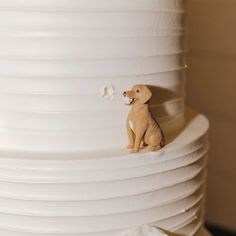 a dog figurine sitting on top of a white cake