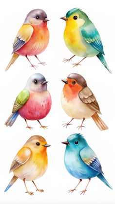 six watercolor birds sitting on top of each other