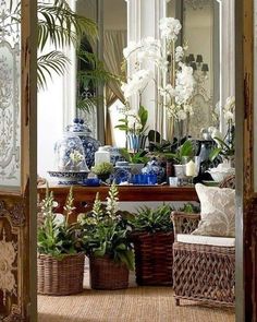 a room filled with lots of potted plants and flowers in front of a mirror