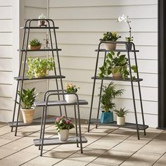 three metal plant stands with plants on them