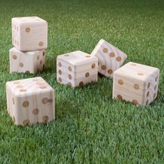 several white dices sitting on top of green grass