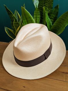 Handmade Panama Hat ~ in Natural Colour with Dark Brown Band ~ Genuine Panama hat handwoven with Toquilla palm ~ ~ Handwoven in Ecuador ~ ~ Possible to roll for easy travel ~ ~ Inside comfort band ~ Other colour hats and bundles available from our store > https://www.etsy.com/shop/personalisedpanamas Panama Hats For Women, Outback Hat, Brown Hat, Panama Canal, Church Activities, Brown Hats, American Presidents, Perfect Marriage, Handmade Hat