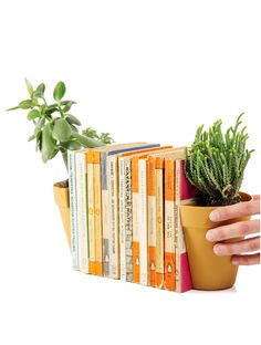 a hand holding a potted plant next to a stack of books on top of each other