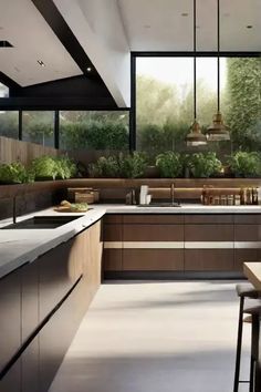 a large kitchen with lots of counter space and plants on the wall behind the sink