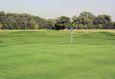 a golf course with trees in the background