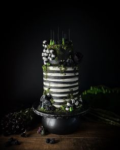 a black and white cake with moss on it