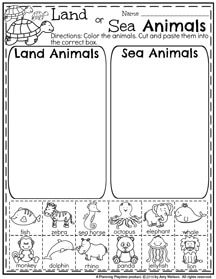 the land and sea animals worksheet