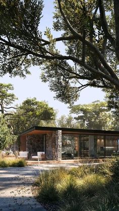 an artist's rendering of a modern house in the woods with trees around it