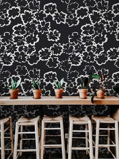 three potted plants sit on top of wooden stools in front of a black wall