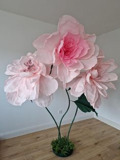 three large pink flowers in a vase on the floor