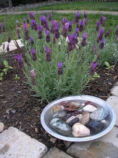 a bowl filled with rocks sitting on top of a stone walkway next to purple flowers