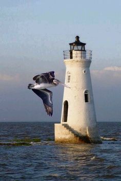 a seagull flying past a lighthouse in the ocean