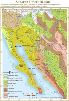 a large map of the state of california with major cities and towns on it's borders