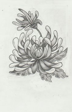 a drawing of a flower with leaves on it