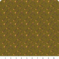 an image of a green and brown background with small circles on it, as well as a ruler