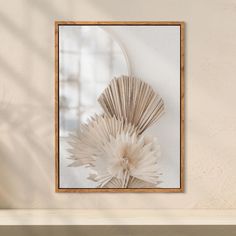 a mirror mounted to the side of a wall next to a shelf with a plant in it