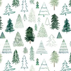 watercolor christmas trees on white background