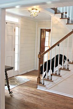 a dog is walking up the stairs in a house with white walls and wood floors