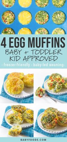 four egg muffins on plates with text overlay that reads 4 egg muffins baby and toddler kid approved