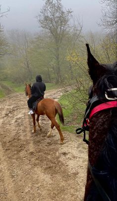 two people riding horses on a dirt road