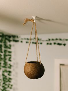 a hanging potted plant in a living room