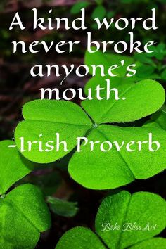 a four leaf clover with the words, a kind word never broke anyone's mouth irish prove