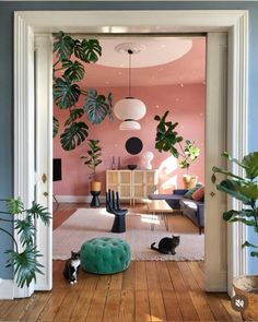 an open door leading to a living room with pink walls and plants on the wall