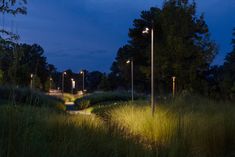 an empty path in the middle of a grassy area at night with street lamps on either side