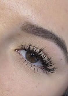 Lash Extentions, Sulam Alis, Kanekalon Hairstyles