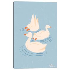 three white ducks floating on top of water