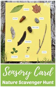 the nature scavenger hunt for kids