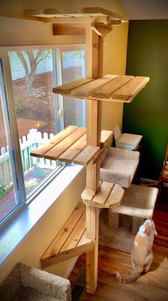 a cat sitting on top of a wooden stair case next to a window and stairs