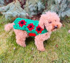 This sweater is Christmas Red and Green, with adorable flower type design crocheted in each granny  square.  This sweater is soft, gorgeous and comfortable. Custom crocheted to fit your pet. Granny Square Dog Sweater, Granny Square Dog, Crochet Granny Square Sweater, Dog Sweater Crochet, Square Sweater, Granny Square Sweater, Crochet Dog Sweater, Pet Sweater, Sweater Crochet