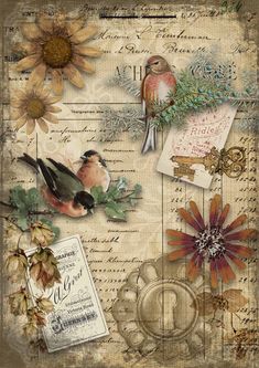 a collage with flowers, birds and other things on it's side in the middle