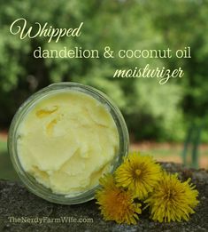 Coconut Oil Moisturizer, Prairie Homestead, Making Cosmetics, Face Scrubs, Dandelion Flowers, Natural Beauty Diy, Dandelion Recipes