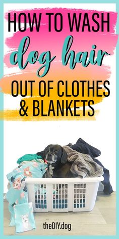 a black puggle dog sits in a white plastic laundry basket full of clothes. Text reads: how to wash dog hair out of clothes and blankets Dog Hair Cleaning, Dog Hair Removal, Short Dog, Hair Roller, Dog Smells, Personal Grooming, Dog Shedding, Pet Hair Removal