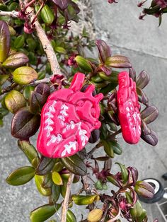 two red plastic heart shaped ornaments on a tree