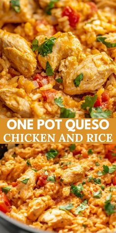 one pot quesadilla chicken and rice is an easy dinner recipe that's ready in less than 30 minutes