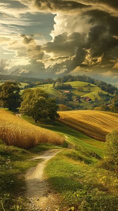 a dirt road going through a lush green field under a cloudy sky with trees and fields in the background