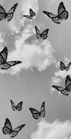 black and white photograph of butterflies flying in the air with clouds behind them on a cloudy day